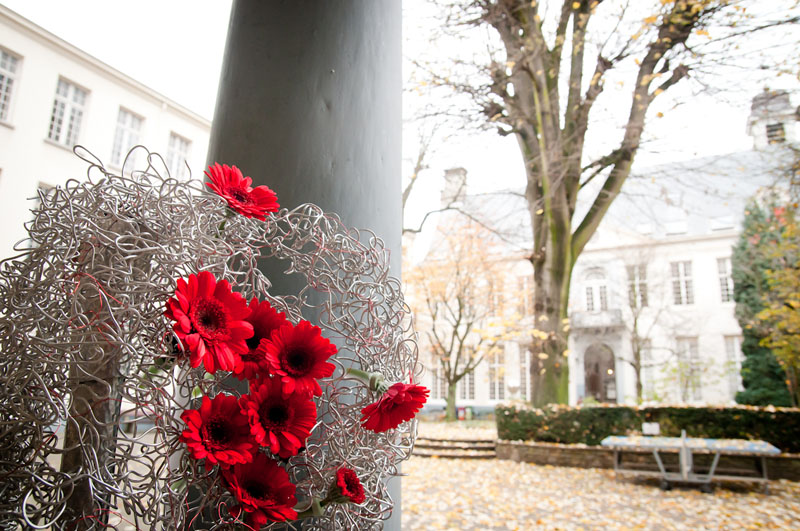 reportage FleursDesDames2012 - klein-57